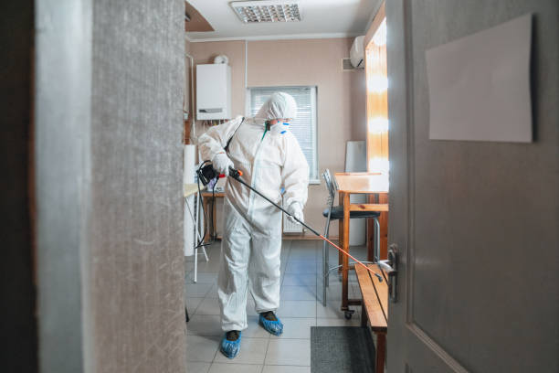 Best Forensic Mold Investigation  in Tavares, FL