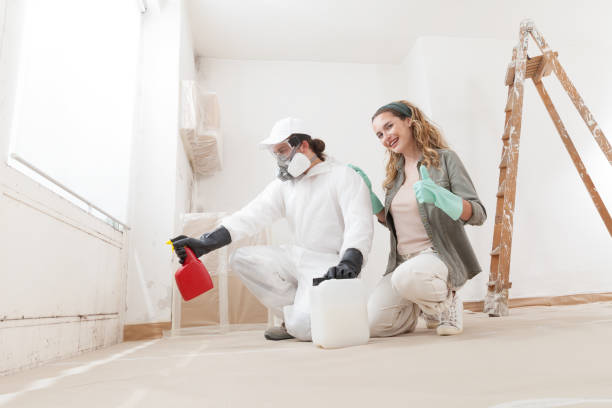 Best Mold Prevention Services  in Tavares, FL